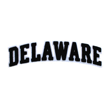 Load image into Gallery viewer, Varsity State Name Delaware in Multicolor Chenille Patch
