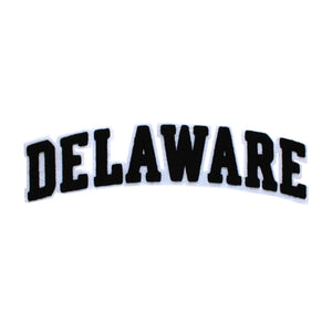 Varsity State Name Delaware in Multicolor Chenille Patch