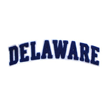 Load image into Gallery viewer, Varsity State Name Delaware in Multicolor Chenille Patch
