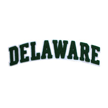 Load image into Gallery viewer, Varsity State Name Delaware in Multicolor Chenille Patch
