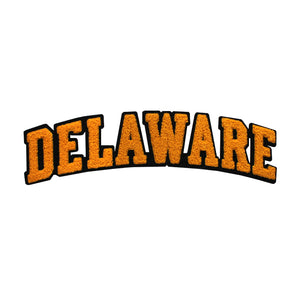 Varsity State Name Delaware in Multicolor Chenille Patch