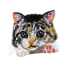 Load image into Gallery viewer, Cat Faces Embroidery Patch
