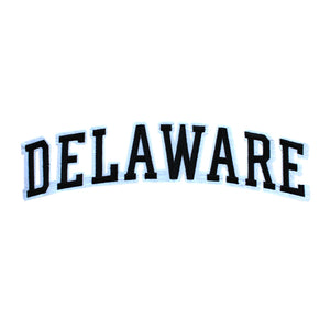 Varsity State Name Delaware in Multicolor Embroidery Patch