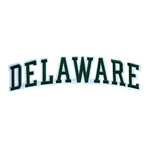 Varsity State Name Delaware in Multicolor Embroidery Patch