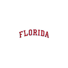 Load image into Gallery viewer, Varsity State Name Florida in Multicolor Embroidery Patch
