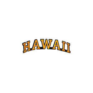 Varsity State Name Hawaii in Multicolor Embroidery Patch