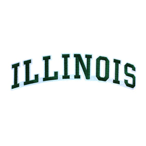 Varsity State Name Illinois in Multicolor Embroidery Patch