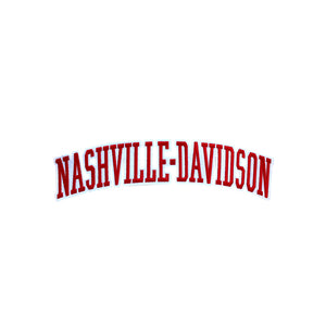 Varsity City Name Nashville Davison in Multicolor Embroidery Patch