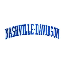 Load image into Gallery viewer, Varsity City Name Nashville Davison in Multicolor Embroidery Patch
