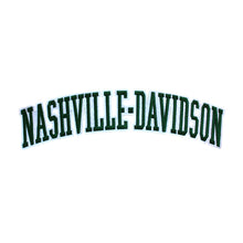 Load image into Gallery viewer, Varsity City Name Nashville Davison in Multicolor Embroidery Patch
