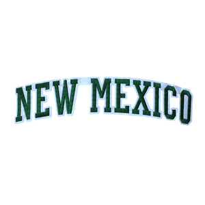 Varsity State Name New Mexico in Multicolor Embroidery Patch