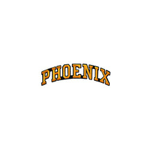 Load image into Gallery viewer, Varsity City Name Phoenix in Multicolor Embroidery Patch
