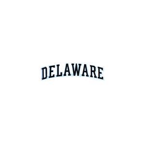 Varsity State Name Delaware in Multicolor Embroidery Patch