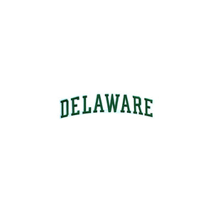 Varsity State Name Delaware in Multicolor Embroidery Patch