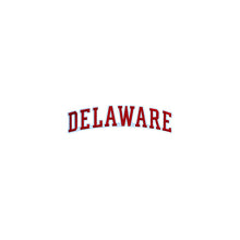 Load image into Gallery viewer, Varsity State Name Delaware in Multicolor Embroidery Patch
