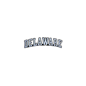 Varsity State Name Delaware in Multicolor Embroidery Patch