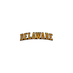 Varsity State Name Delaware in Multicolor Embroidery Patch