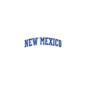 Varsity State Name New Mexico in Multicolor Embroidery Patch