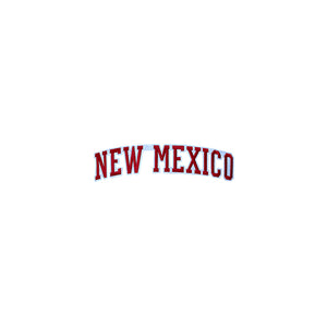 Varsity State Name New Mexico in Multicolor Embroidery Patch