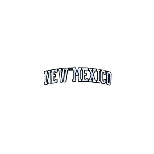 Varsity State Name New Mexico in Multicolor Embroidery Patch