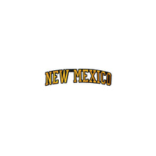 Load image into Gallery viewer, Varsity State Name New Mexico in Multicolor Embroidery Patch
